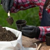 Fertilizers