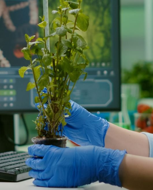 OMNI Agro Solutions